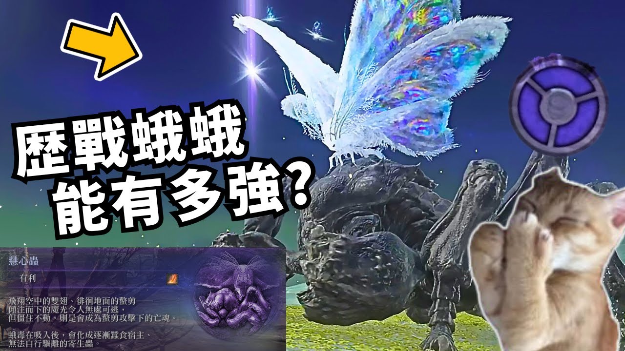 初見增強版慧心蟲! 號稱最弱卻打成了耐力持久戰?!...| 黑夜君臨 艾爾登法環