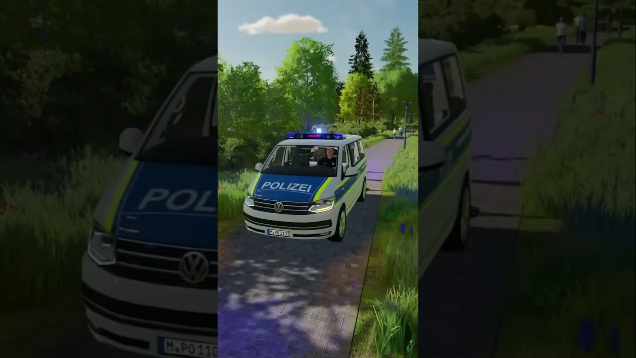 POLIZEIEINSATZ! Was passiert wirklich am Unfallort? 🚨