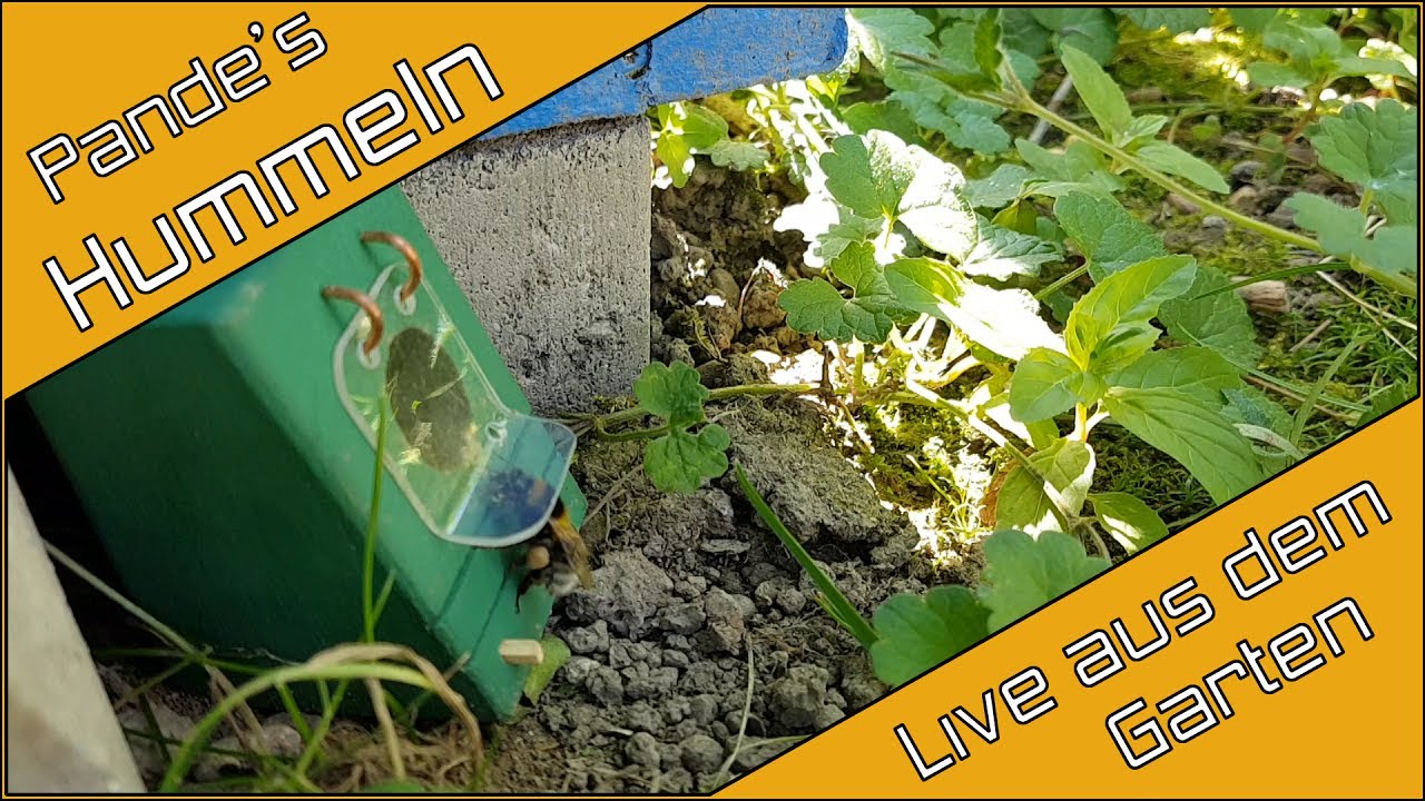 Pande's Hummeln - Nisthilfe für Hummeln (Hummelhaus im Garten) ~Einschlafhilfe ;)~