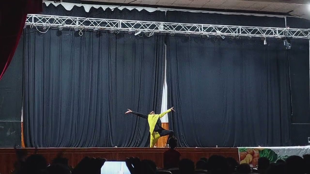dagi circus ladder act