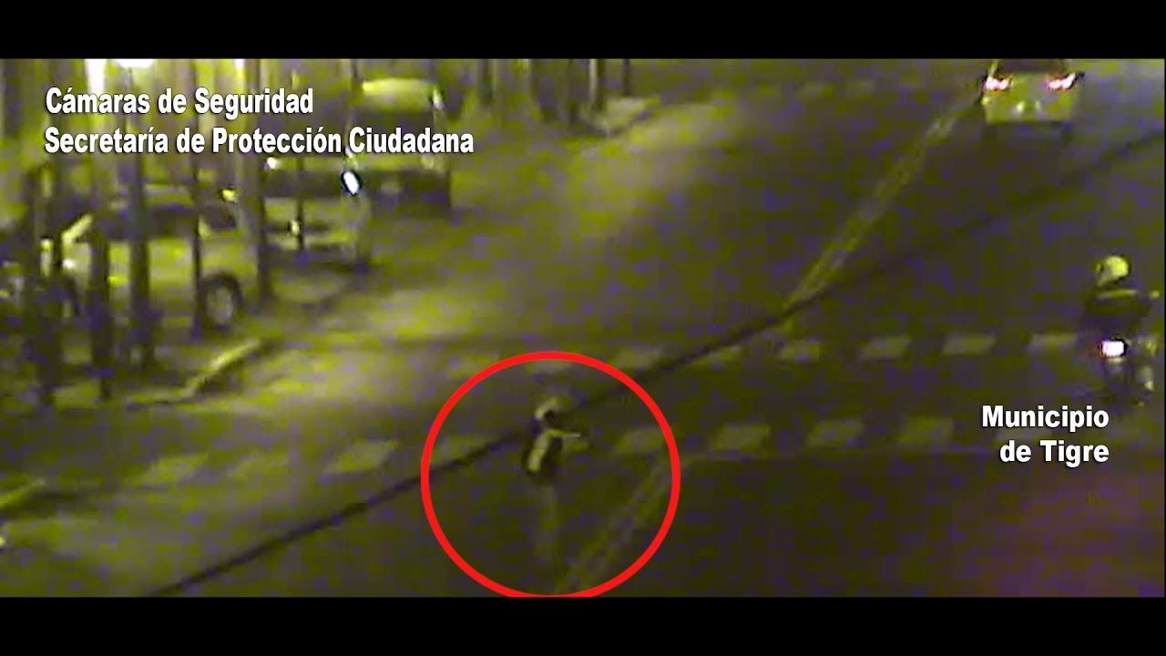 Las cámaras del COT lo filmaron forzando la puerta de una camioneta