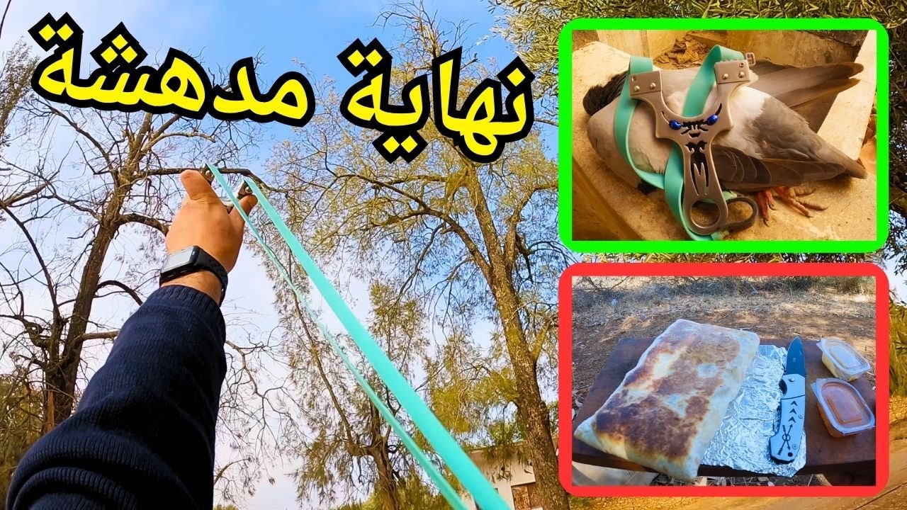 صيد الحمام بالمقلاع وطبخ فاخر 🔥 😋 مغامرات برية (الجزء 8)