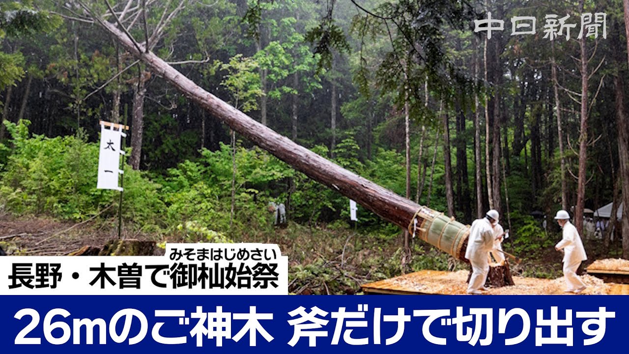 ご神木切り出す「御杣始祭」長野県上松町で開催　伊勢神宮の式年遷宮に向けて