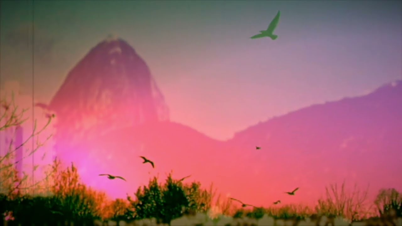 LEON WEST EXPERIENCE - Voulez Vous Rythmes (Visualizer)