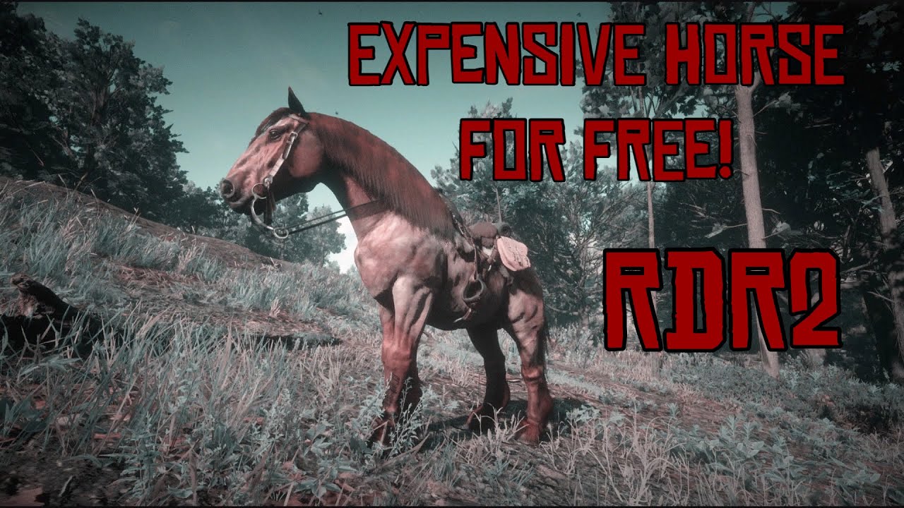 How to STEAL a Horse From Van Horn Stable in RDR2 | *STILL WORKS JUL 2025*