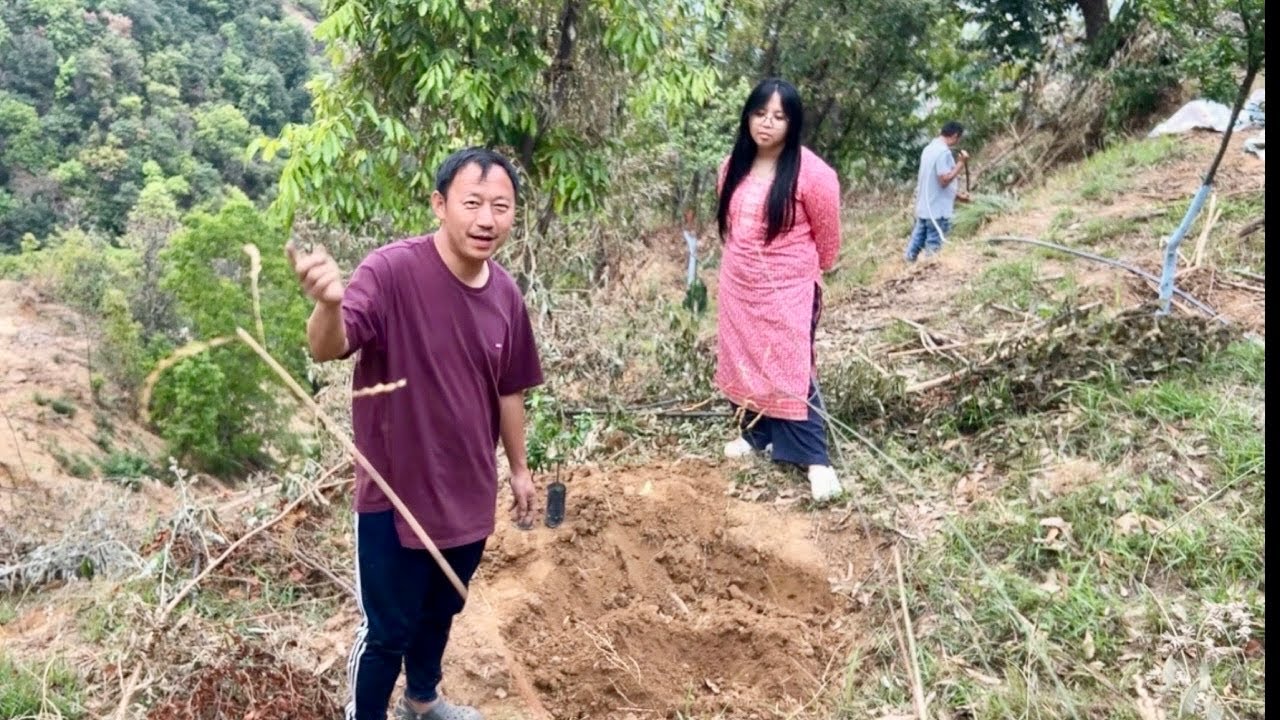 नया बर्षमा बृक्ष्य रोपन गरियो | Fruit plantation in our farmland | Nepali Family UK | Rural Nepal