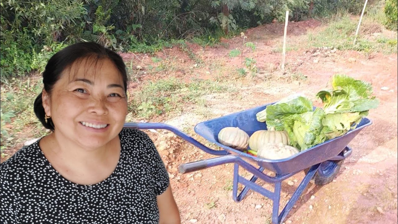 COLHENDO ALGUMAS COISAS NA HORTA DA CHÁCARA MIDORI