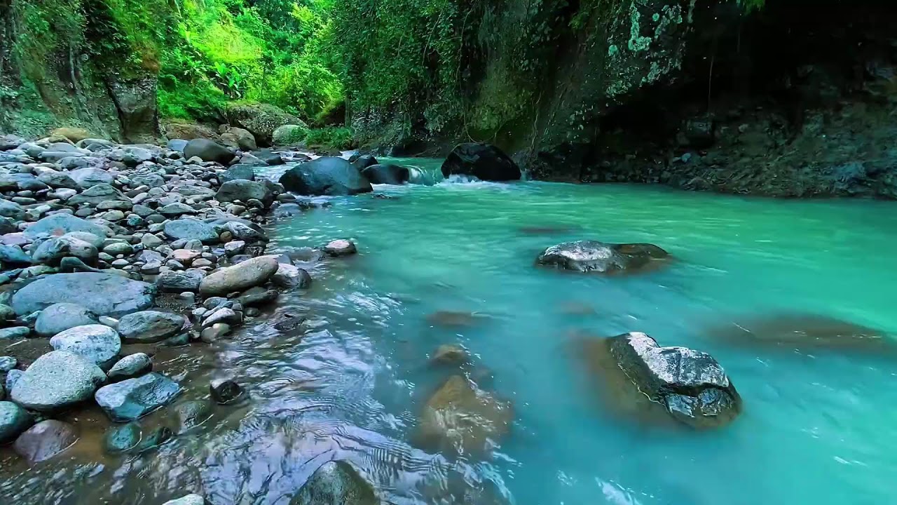 Flowing Stream Water Sounds, Mountain Forest River, Sleeping