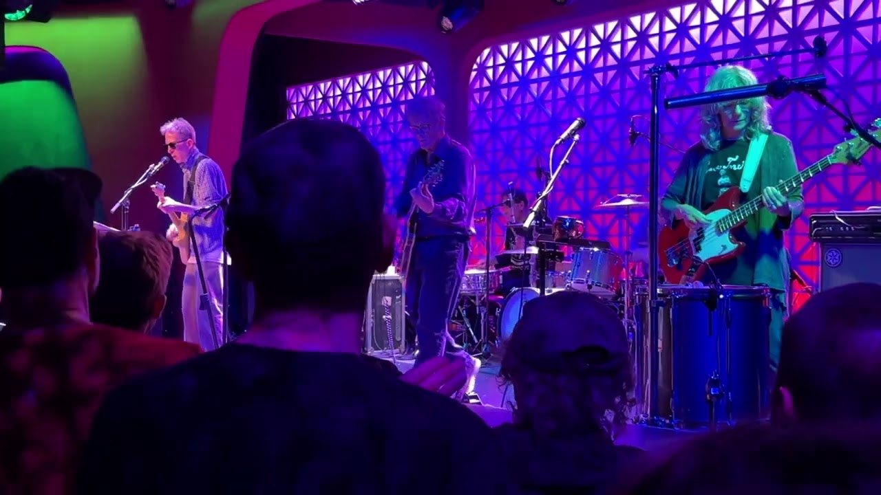 The Feelies “Loveless Love