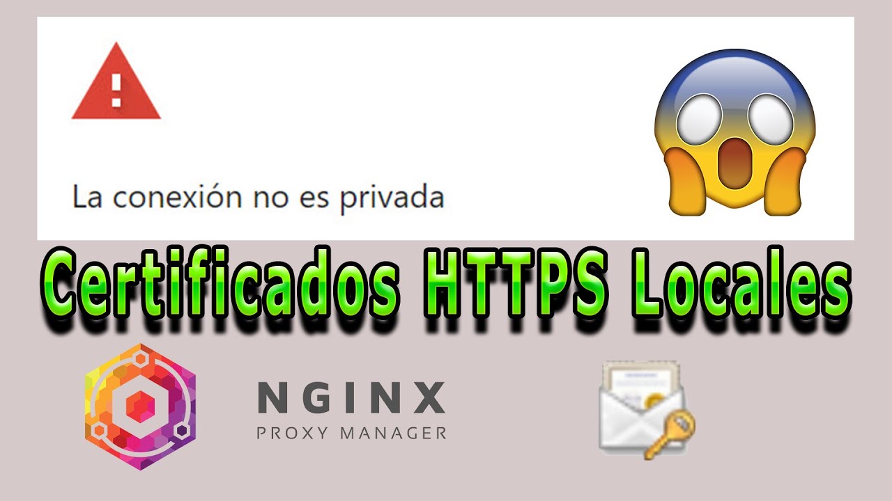 Guía para crear Certificados HTTPS Locales con Nginx Proxy Manager