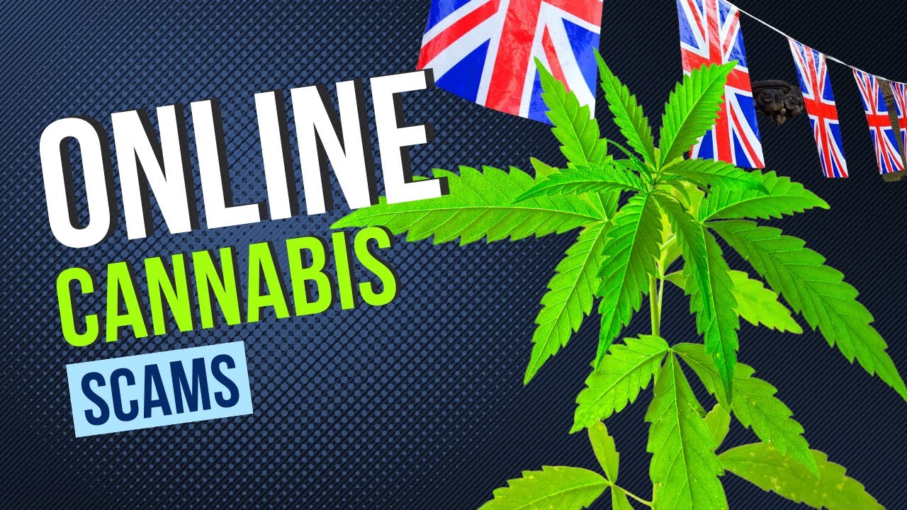 Online cannabis scams are ripping off thousands in the UK! 🇬🇧🌿