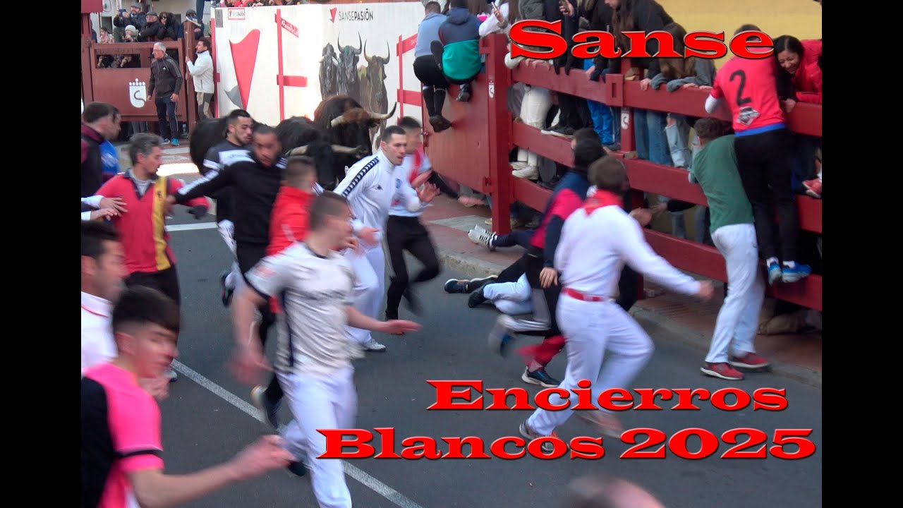 ENCIERROS BLANCOS 2025 primero de las Fiestas Patronales de San Sebastián de los Reyes (Madrid)