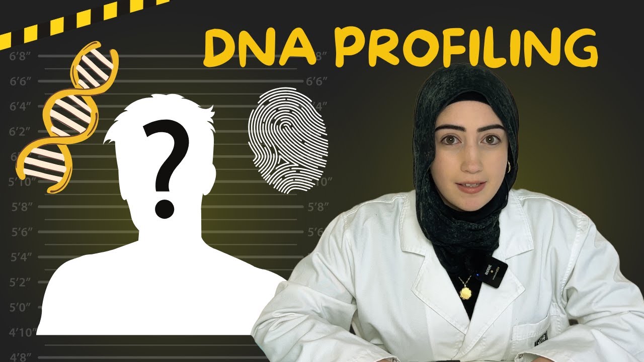 DNA Profiling Explained | HSC Biology Made Simple