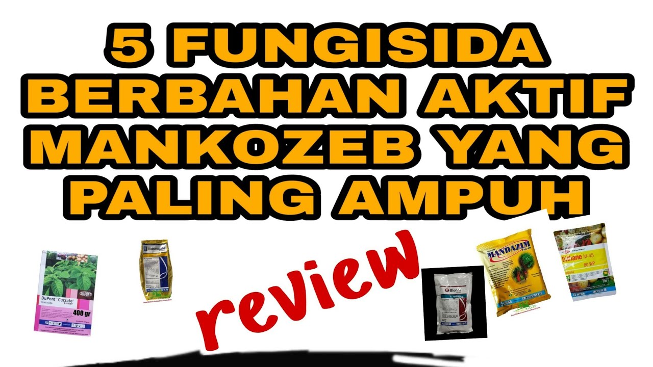5 FUNGISIDA TERBAIK BERBAHAN AKTIF MANKOZEB