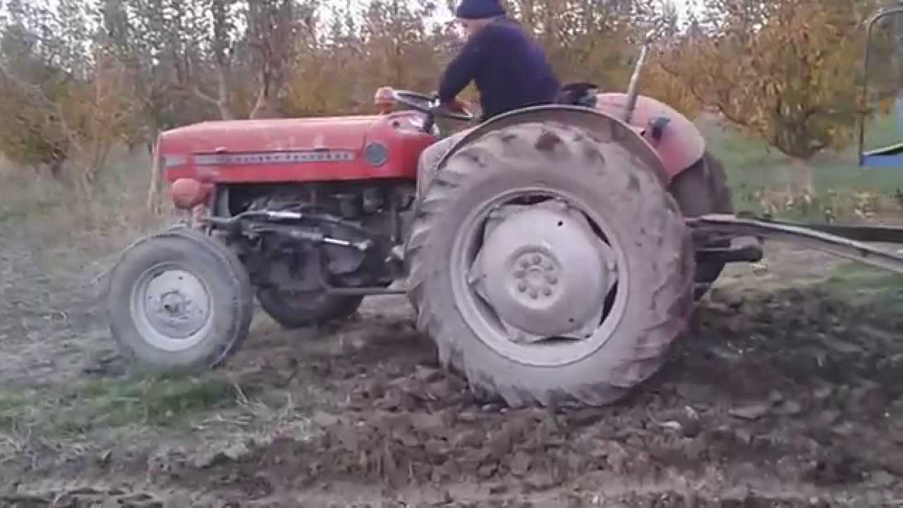 massey ferguson 135 lik pancar çekme