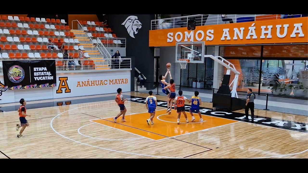 Highlights - Felinos Elite Eliminatoria Estatal Elite Yucatan 14 Febrero 2026