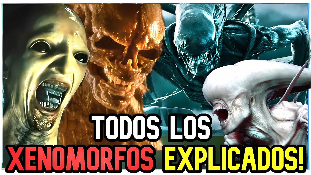 Alien TODOS los Xenomorfos EXPLICADOS en 1 VIDEO (2025)