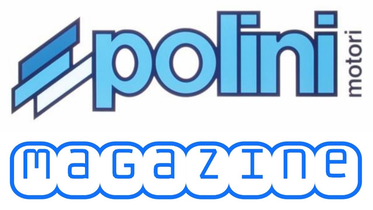 POLINI MAGAZINE : pacchi lamellari e lamelle