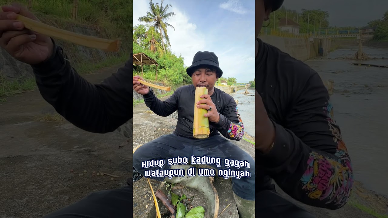Kabyah libur 1 bulan