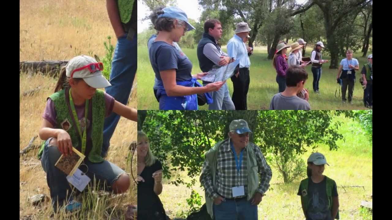 LATO Oak Ambassador Guided Hike 2Display