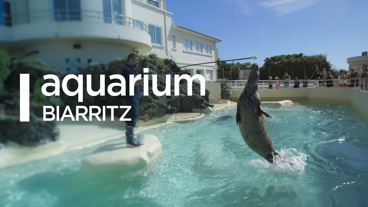 Aquarium de Biarritz : Présentation