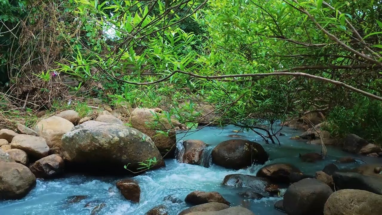 Premium Waterfall Sounds for Deep Sleep & Relaxation | 30 Minutes