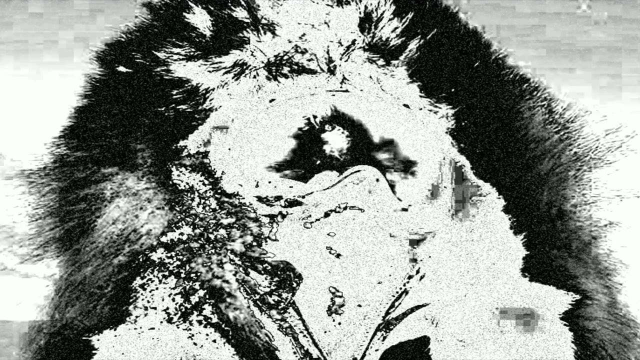 fakemink x puresnow x feng type beat 