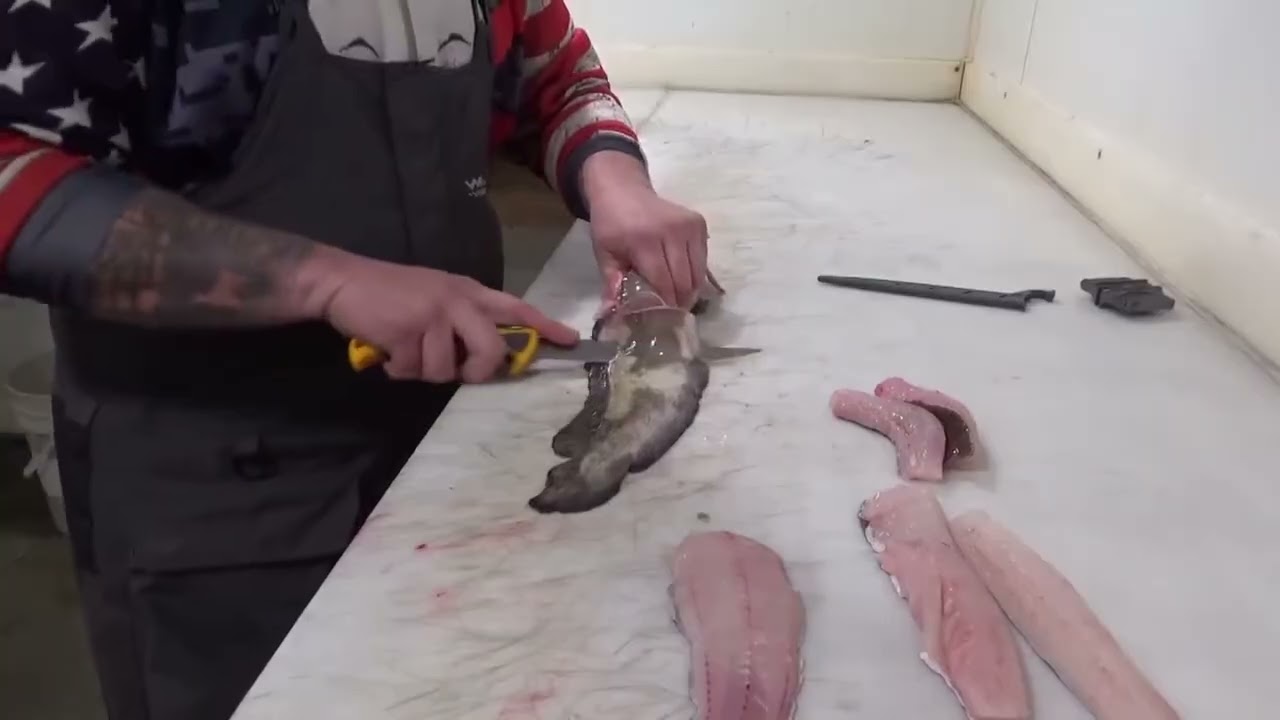 How to clean a burbot