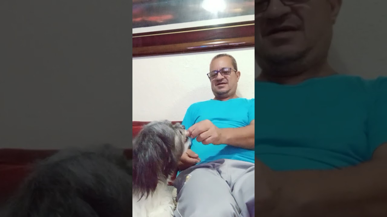 belinha e seu petisco