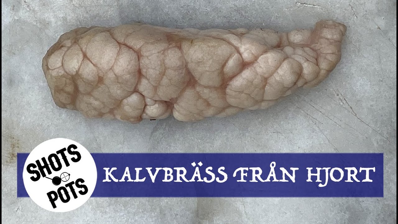 KALVBRÄSS FRÅN DOVHJORT