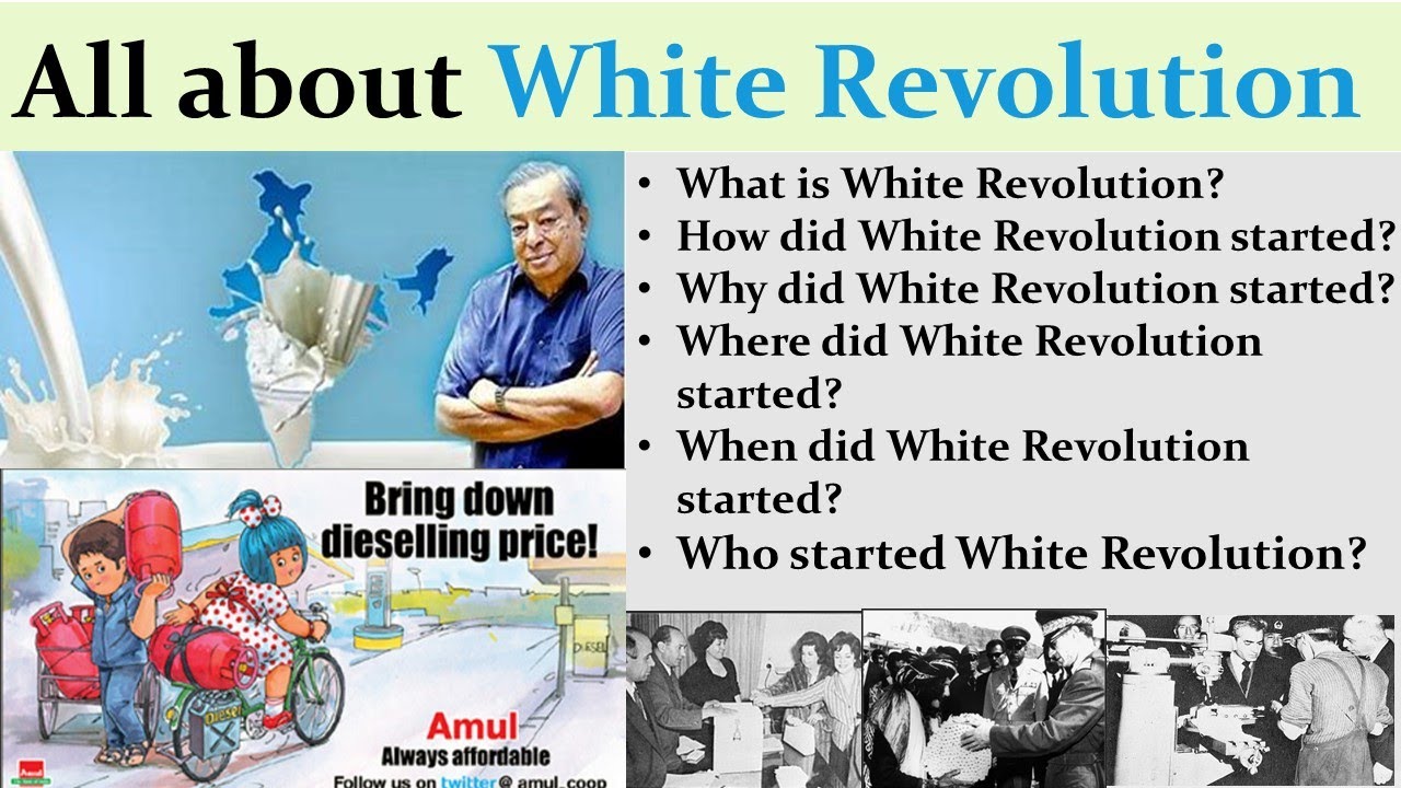 What is White Revolution? |All about White Revolution| |All about White Revolution\Operation flood|