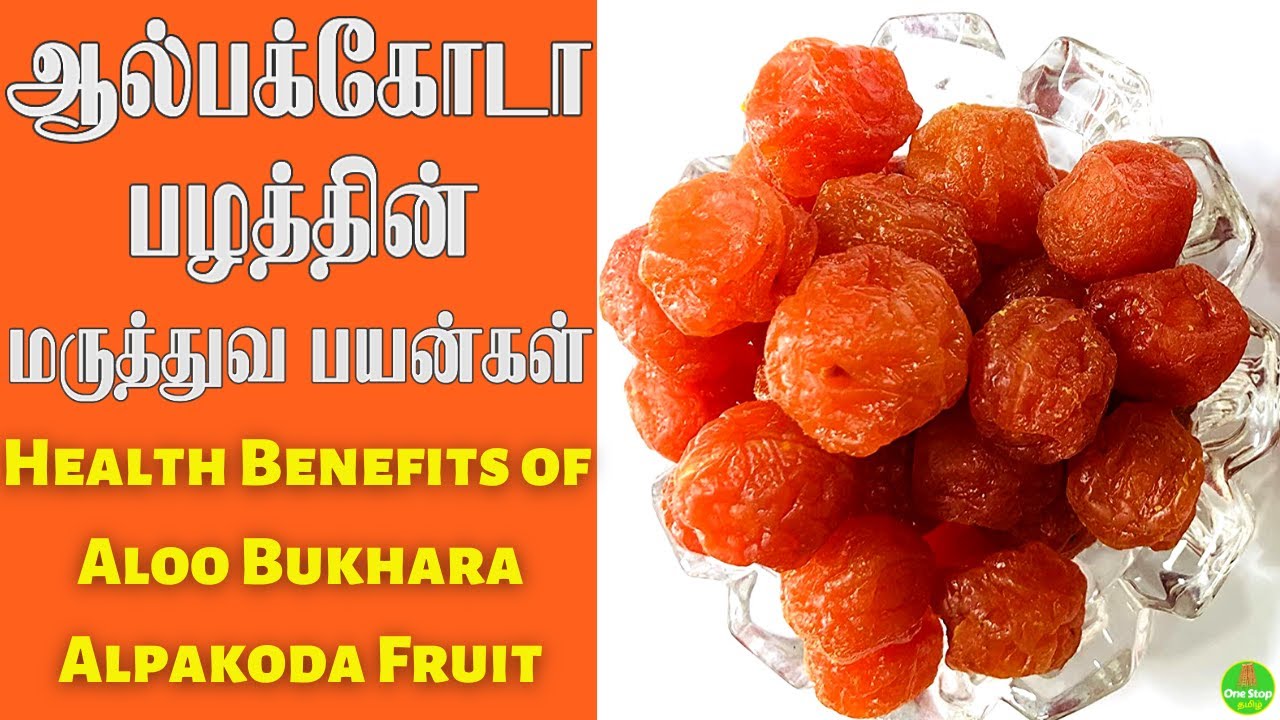 Alpakoda aloo bukhara medicinal Benefits - ஆல்பக்கோடா பழம் மருத்துவ பயன்கள்