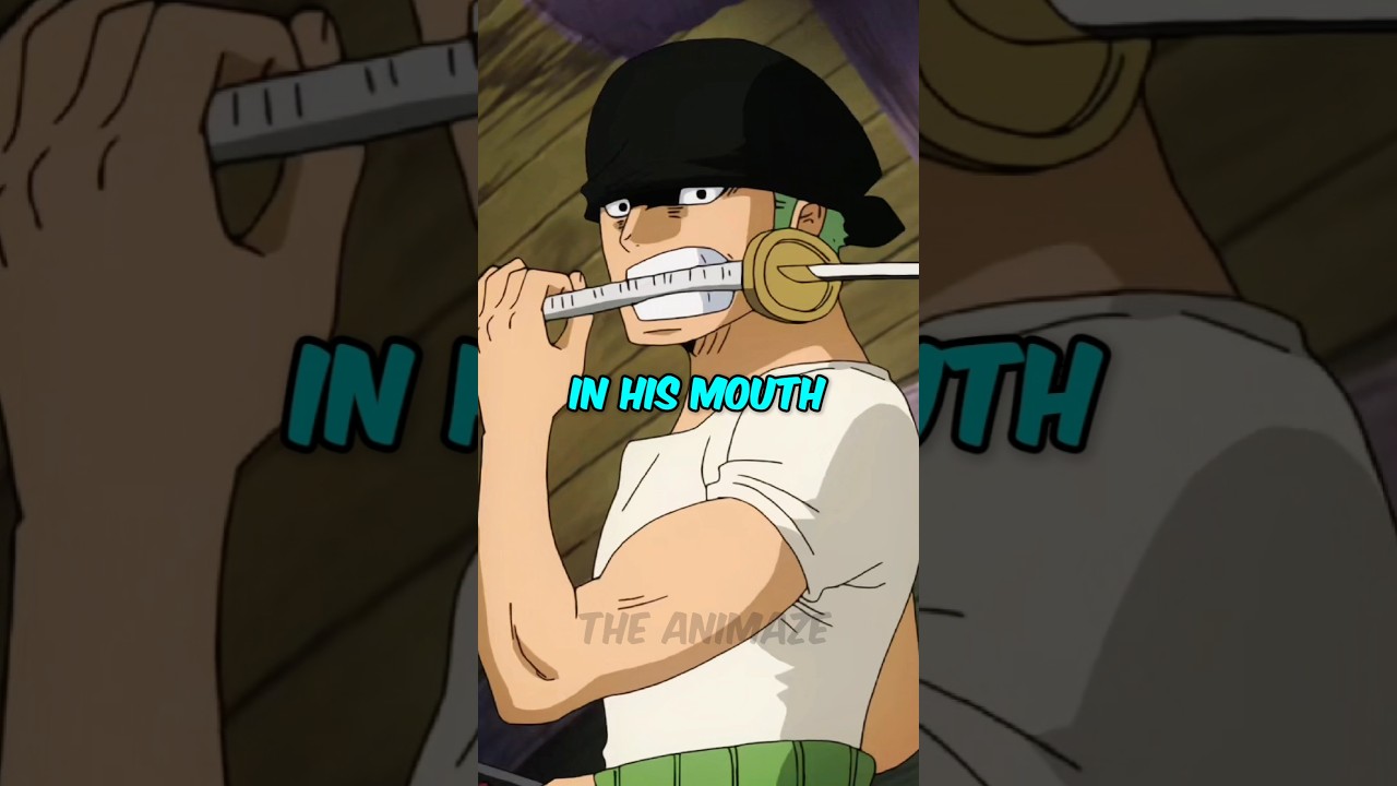 Why Zoro Holds Third Sword in His Mouth?