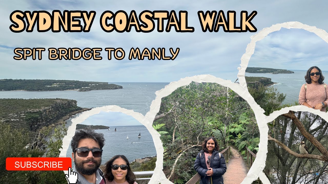 Spit Bridge to Manly Walk | Sydney’s Most Scenic Coastal Trail with Stunning Views Nature & Wildlife