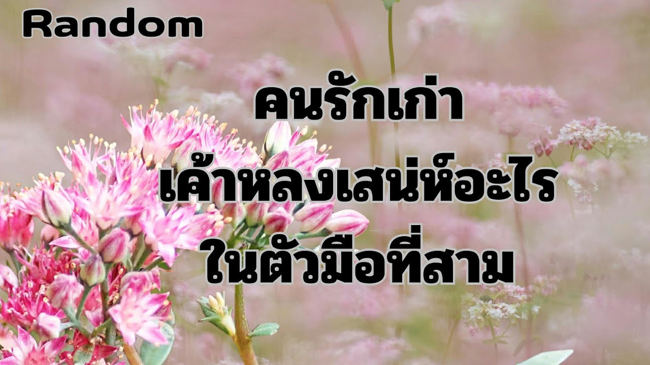 Random Ep.1558 #คนรักเก่าเค้าหลงเสน่ห์อะไรในตัวมือที่สาม Timeless ทุกราศี