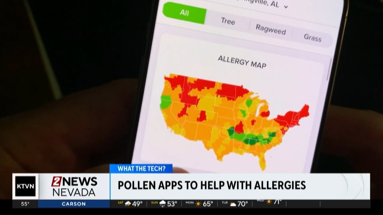 What the Tech: Pollen apps