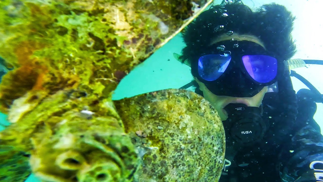 День расплаты, Бриллиант или Тупица | Сезон 2, Эпизод 3