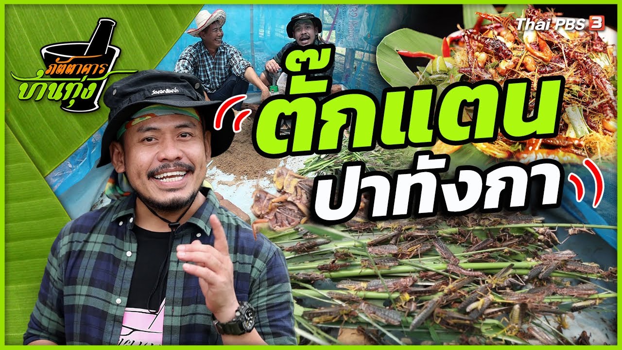 ตั๊กแตนปาทังกา | ภัตตาคารบ้านทุ่ง