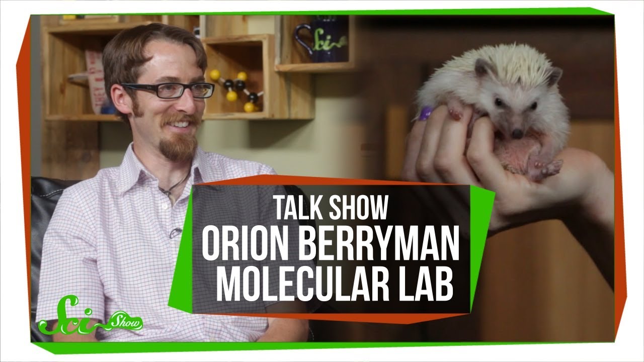 Molecule Architecture: SciShow Talk Show with Dr. Orion Berryman