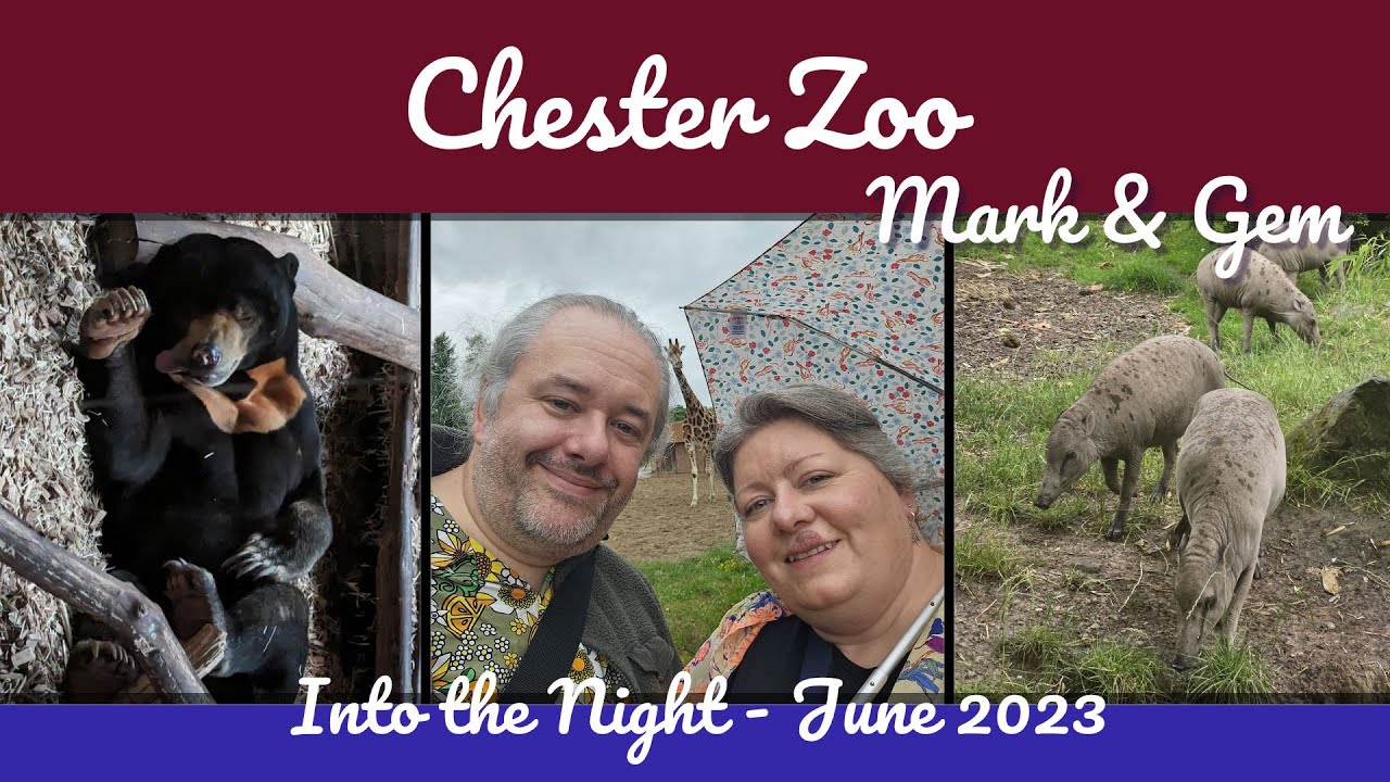 Exploring Chester Zoo After Hours! - Into the Night adults only event.