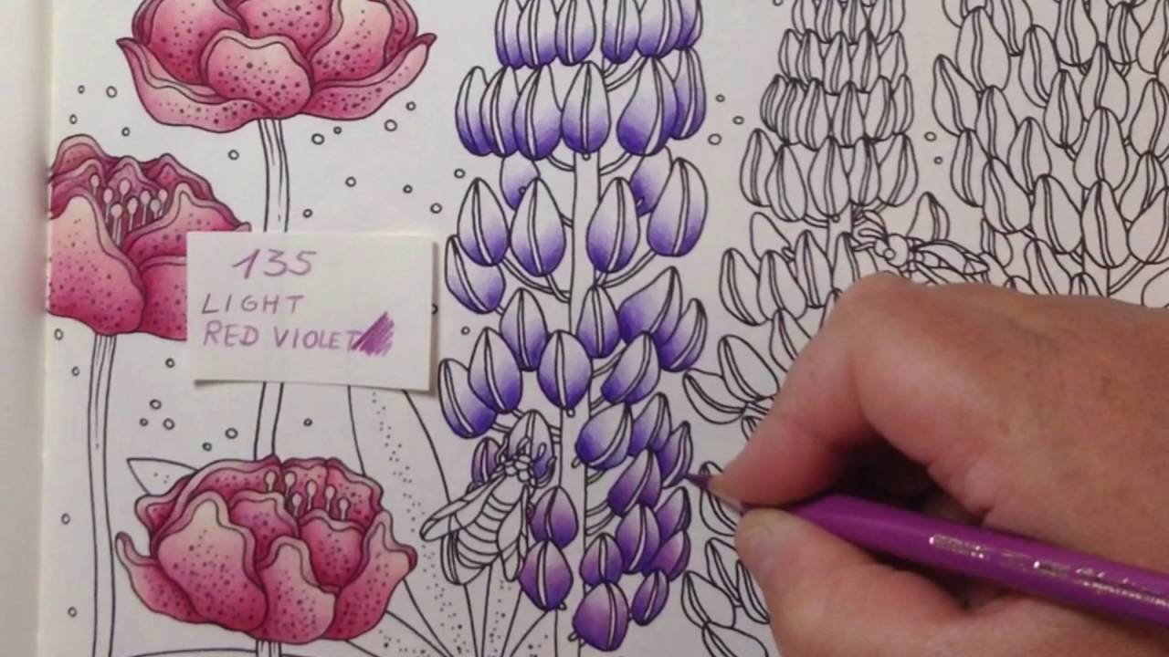 SOMMARNATT - SUMMERNIGHTS Hanna Karlzon - color tutorial part 2 - polychromos