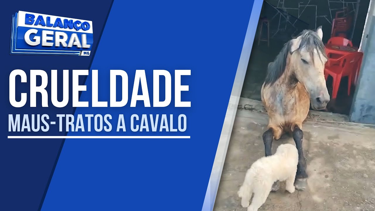 ADOLESCENTE DE 16 ANOS É APREENDIDO POR MAUS-TRATOS A CAVALO EM TRÊS PONTAS