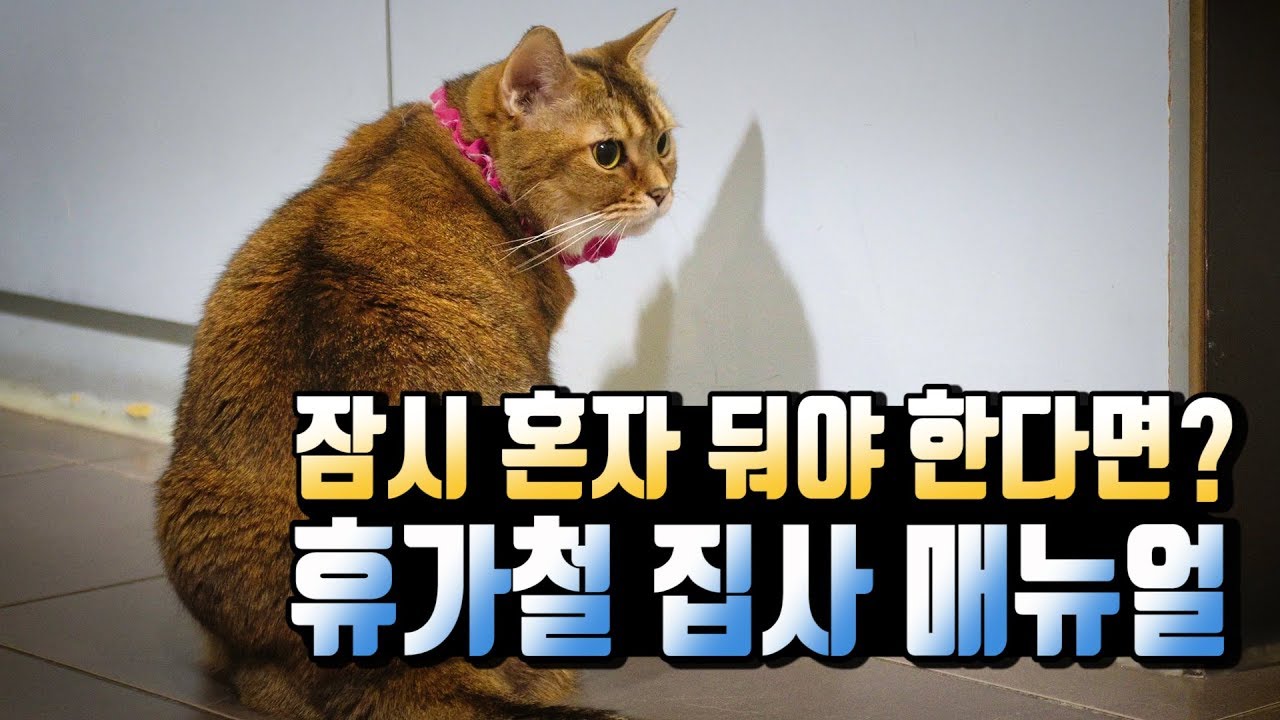 휴가철, 집에 CCTV 달아둘까? 말까?