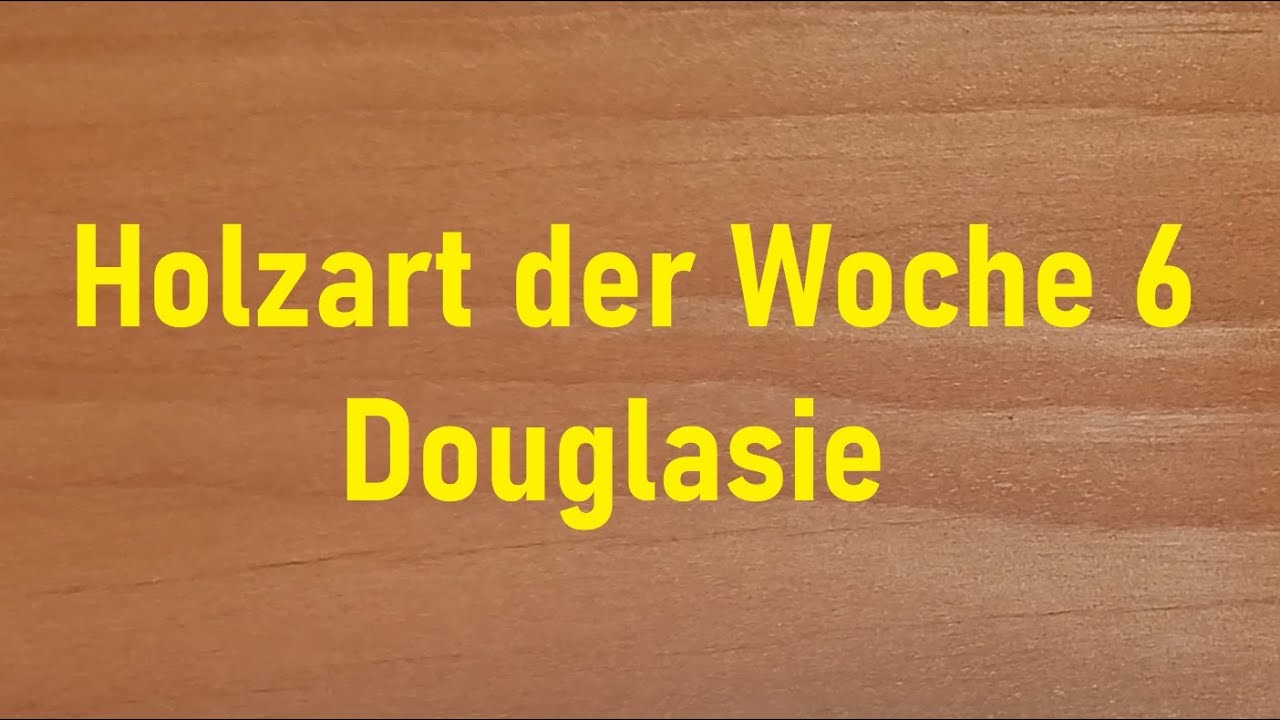 Holzart der Woche #6 – die DOUGLASIE, Unterschiede zur LÄRCHE!