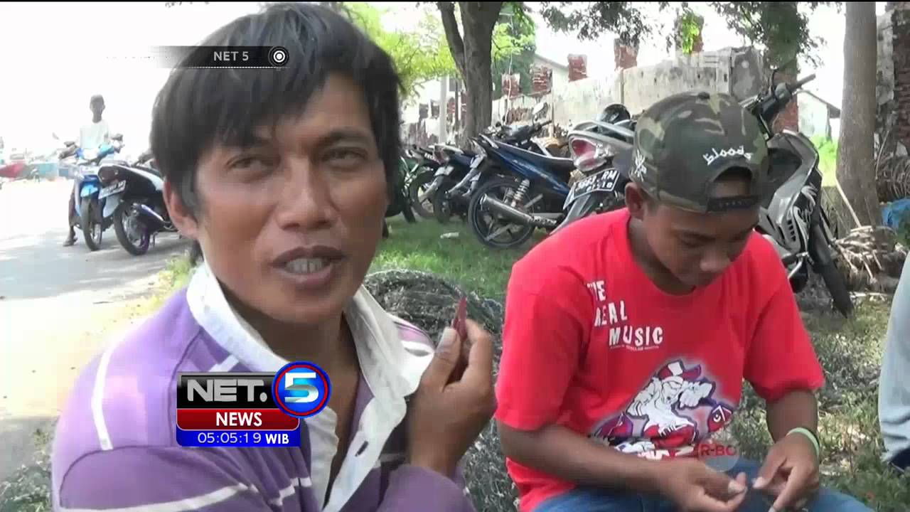 Hasil Tangkapan Ikan di Probolinggo Menurun Drastis - NET5