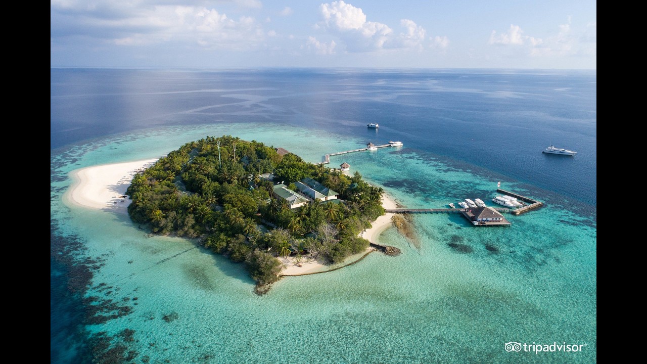 Snorkelling Maldives 1