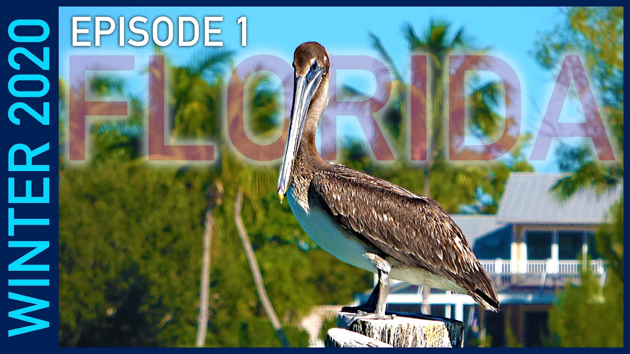 Myakka River State Park and Venice, Florida - Winter 2020 Episode 1