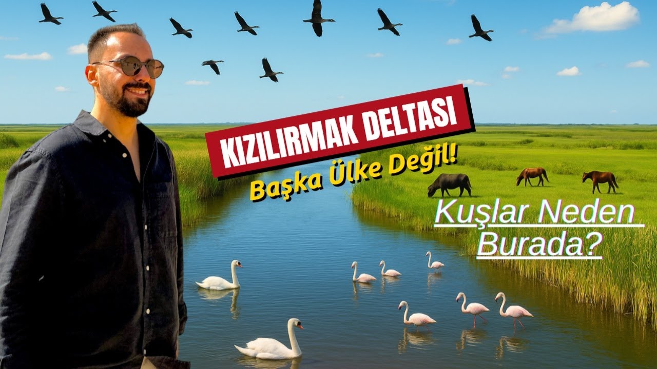 Türkiye'de Böyle Bir Yer Olduğuna İnanamayacaksınız! Kızılırmak Deltası 🇹🇷