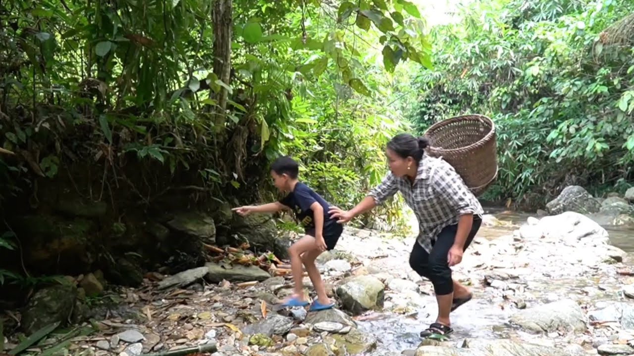 Go into the forest to catch red crabs and get chicken eggs.