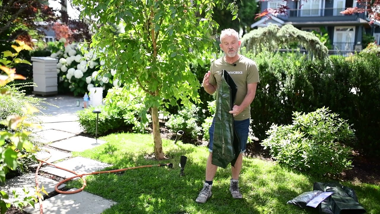 How To Use a Tree Watering Bag | GARDENWORKS Canada